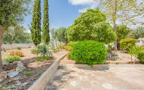 Villa Vera: Arbusto, Jardín, Planta De La Comunidad, Cobertura Del Suelo, Plantas Leñosas, Paisajismo, Jardín Botánico, Pasarela, Sombra