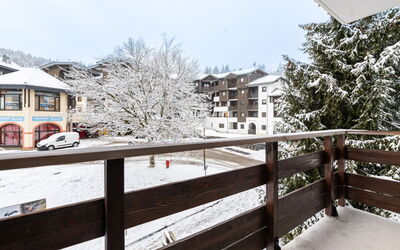 Morillon 641