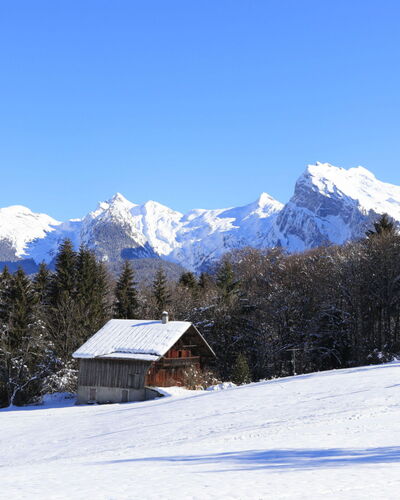 Morillon 648