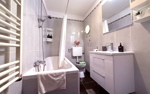 Apartment Niko, Private Garden, Wifi - Opatija: Arreglo De Tubería, Baño, Lavabo, Diseño De Interiores, Piso, Suelo, Grifo, Plomería, Lavabo Del Baño, Mueble De Baño