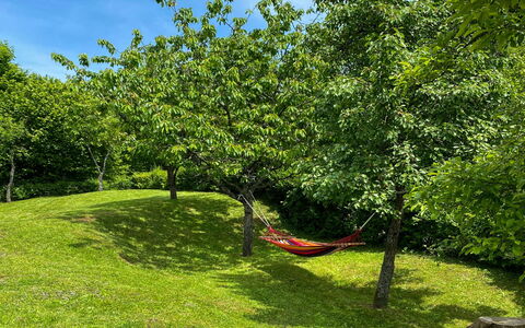 Maklen: Rama, Pradera, Jardín, Cobertura Del Suelo, Césped, El Maletero, Sombra, Plantas Leñosas, Prado