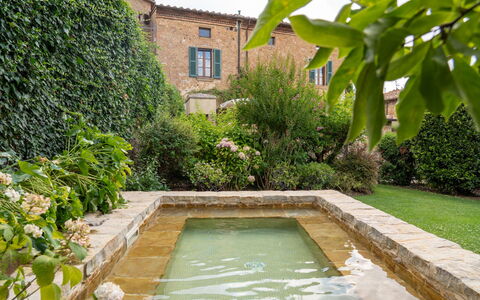 Town House Garden: Arbusto, Jardín, Fuente De Agua, Paisajismo, Patio Interior, Cobertura, Patio, Piscina, Losa, Jardín Botánico