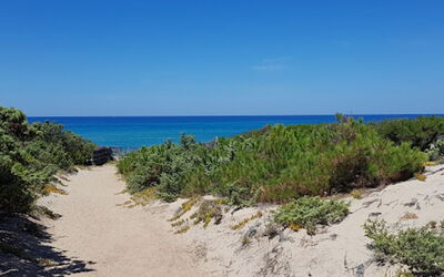 Camping Baia Paradiso
