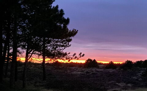 Ibbe - 3.5Km from the Sea: Cielo, Rama, Naturaleza, Hoja, Resplandor Crepuscular, Paisaje Natural, Oscuridad, Puesta De Sol, Horizonte, Naranja