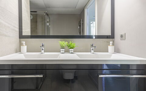 Prestige View: Lavabo Del Baño, Arreglo De Tubería, Diseño De Interiores, Lavabo, Mueble De Baño, Espejo, Mostrador, Baño, Grifo, Gabinetes