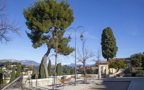 Cagnes Provencal: Árbol, Espacio Publico, Sombra, Pasarela, Hojas Perennes, Paisajismo, Familia De Pino