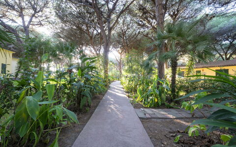 Nature & Country Resort Near The sea: Vegetación, Jardín, Plantas Leñosas, Sombra, Sendero, Paisajismo, Pasarela, Jardín Botánico, Entrada De Coches, Plantación