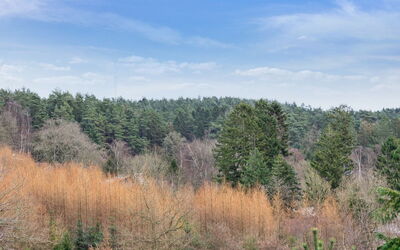 Gunward - 3Km from the Sea