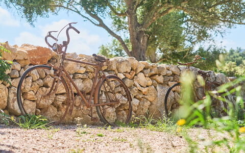 Ca'N Galeri: Rueda, Bicicleta, Rueda De Bicicleta, Bicicleta Tenedor