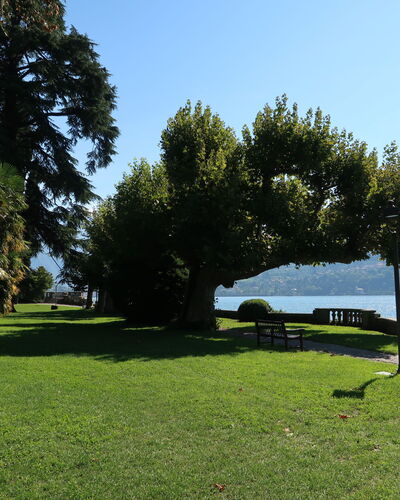 Tremezzina 609: Hierba, Paisaje Natural, Paisaje, Césped, Banco Al Aire Libre, El Maletero, Jardín, Lago, Parque