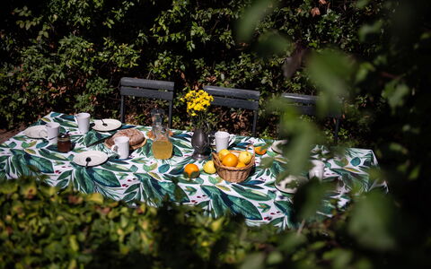 Green Hill Apartment In Tuscan Countryside: Manteles, Linos, Utensilios Para Servir, Comida, Mesa Al Aire Libre, Vajilla, Produce, Fruta, Mueble Para Exteriores