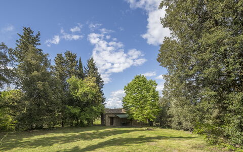 Cottage Monti Pet Friendly With Shared Pool: Árbol, Hierba, Hoja, Entorno Natural, Rama, Naturaleza, Vegetación, Arbusto, Pradera, Paisaje
