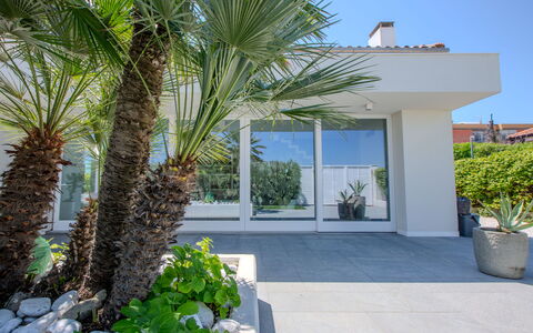 Villa Rosa Del Mare: Plantas Leñosas, Jardín, Paisajismo, Sombra, Eco Hotel, Planta De Casa, Zona Tropical, Pasarela, Villa