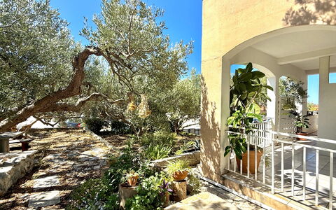 Appartamento Olive Garden, Ac, Wifi, Hvar: Arbusto, Jardín, Inmuebles, Sombra, Hacienda, Paisajismo, Yarda, Silla, Patio Interior, Villa