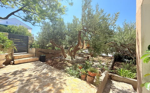 Appartamento Olive Garden, Ac, Wifi, Hvar: Arbusto, Jardín, Plantas Leñosas, Sombra, Paisajismo, Patio Interior, Losa, Suelo, Yarda, Patio