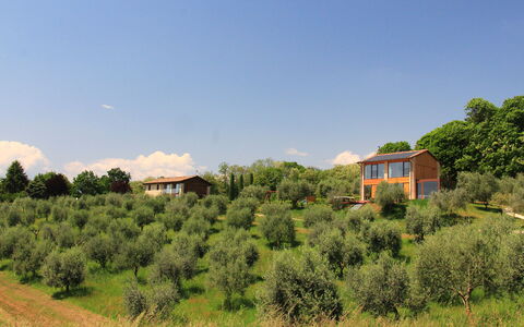Villa Montello Pool, Jacuzzi, Ac, Wifi, Treviso: Árbol, Hierba, Arbusto, Casa, Área Rural, El Terreno Del Lote, Casa, Planta De La Comunidad, Cabaña