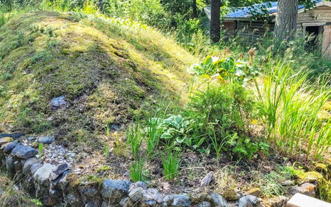 Kelokki: Vegetación, Arbusto, Planta De La Comunidad, Cobertura Del Suelo, Jardín, Suelo, Planta Herbácea, Paisajismo, Patio Interior