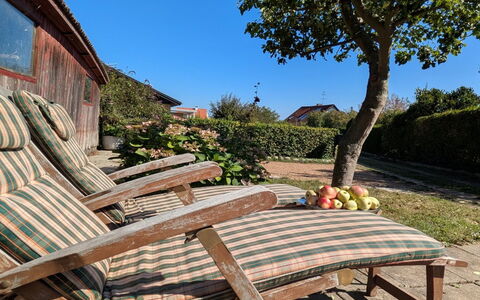 Taja - 170M from the Sea: Mueble, Mueble Para Exteriores, Madera, Silla, Jardín, Sombra, Mesa Al Aire Libre, Cobertura Del Suelo, Sunlounger, Madera Dura