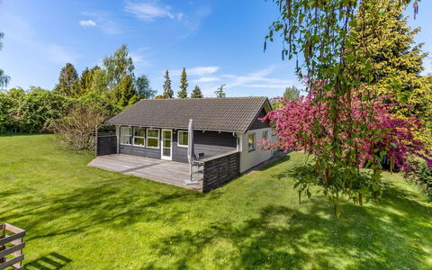 Prohor - 150M from the Sea