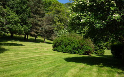 Farmburn Bothy: Verde, Hierba, Árbol, Entorno Natural, Hoja, Naturaleza, Arbusto, Paisaje Natural, Pradera, Jardín