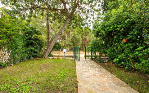 Casa ai Mandorli: Hoja, Vegetación, Arbusto, Jardín, Sendero, Sombra, Primavera, Pasarela, Plantas Leñosas, Luz De Sol