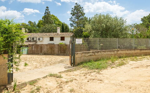 Casa ai Mandorli: Árbol, Área Rural, El Terreno Del Lote, Cerca, Pueblo, Inmuebles, Suelo, Inicio De Esgrima, Patio Interior, Casa De Campo