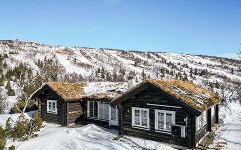 Fjälldrömmen