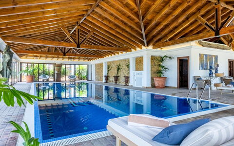 Serena Marbella: Piscina, Mueble, Recurso, Silla, Mueble Para Exteriores, Ocio, Eco Hotel, Hotel, Inmuebles, Villa