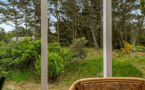 Kaare - 250M from the Sea