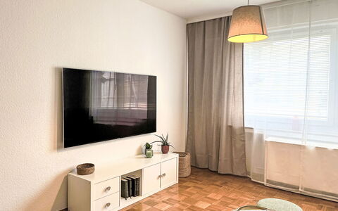 Apartment Magdalena: Mueble, Diseño De Interiores, Piso, Pared, Suelo, Madera, Habitación, Sala, Encendiendo, Televisión