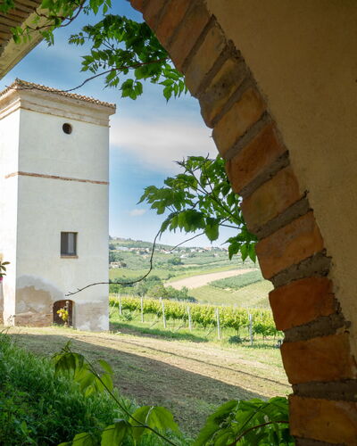 Torretta 648.4
