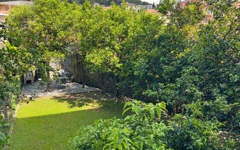 Corso Roma 15 Vacanze - Levanto: Hoja, Vegetación, Arbusto, Jardín, Primavera, Plantas Leñosas, Sombra, Paisajismo, Patio Interior, Pasarela