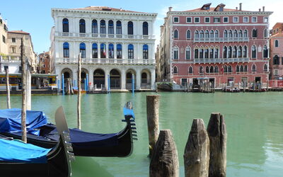 Venice Photobirding, Nature And Culture: Barco, Cuerpo De Agua, Barcos Y Canotaje - Efectos Y Equipo, Watercraft, Edificio, Camino Acuático, Canal, Canal, Corriente De Agua