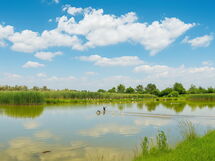 Venice Photobirding, Nature And Culture