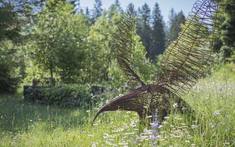 Waldblick: Cobertura Del Suelo, Jardín, Césped Ornamento, Jardín Botánico