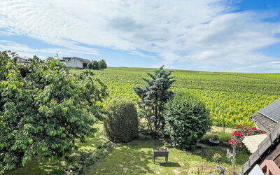 Weinbergblick