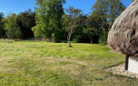 Annabeth - 900M from the Sea: Hierba, Árbol, Pradera, Llanura, El Terreno Del Lote, Área Rural, Cubrir Con Paja, Césped, Pasto