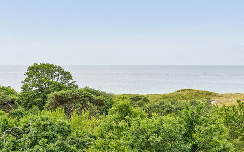 Mariam - 100M from the Sea: Cielo, Azul, Vegetación, Horizonte, Paisaje Natural, Ecorregión, Nube, Verano, Planta De La Comunidad, Arbusto
