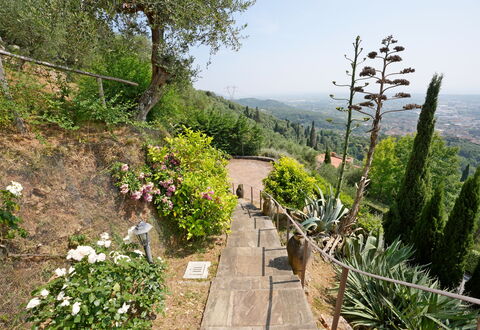 Uno Sguardo sul Mare: Vegetación, Arbusto, Paisaje, Planta De La Comunidad, Jardín, Cobertura Del Suelo, Pasarela, Sendero, Jardín Botánico