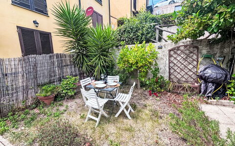 Loma: Arbusto, Maceta, Jardín, Cobertura Del Suelo, Patio Interior, Planta De Casa, Yarda, Losa, Patio