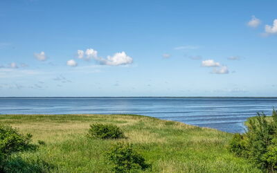 Gadde - 100M to the Fjord