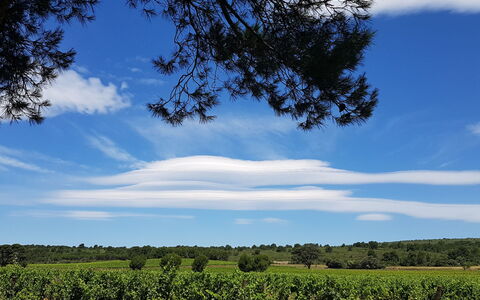 Maison des Lauriers: Azul, Cielo, Tiempo De Día, Naturaleza, Hoja, Nube, Horizonte, Ecorregión, Llanura, El Terreno Del Lote