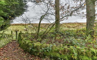 Middle Warble Stables
