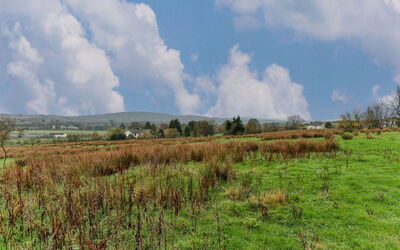 Middle Warble Stables