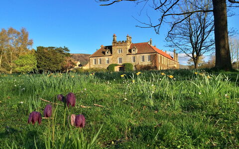 Ingleby Manor - Manor Cottage: Sombra, Cordillera, Estructura Al Aire Libre, Eco Hotel, Cubierta, Mueble Para Exteriores, Jardín, Silla, Paisajismo, Madera Dura