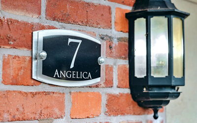 Netley Hall - Angelica