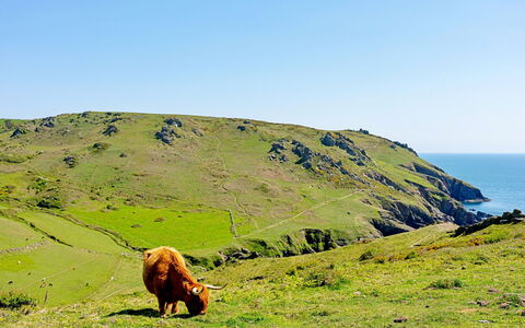 Salcombe 605: Departamento, Balcón, Sombra, Centro De Deportes Acuáticos, Hotel, Muelle