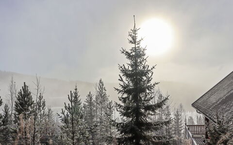 Mukalilla, Paritalo Sis Loppusiivouksen: Árbol, Rama, Fenómeno Atmosférico, Invierno, Nieve, Desierto, Bosque, Congelación, Alerce