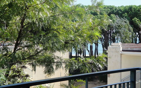 Reus Mediterrani: Árbol, Vegetación, Propiedad, Plantas Leñosas, Botánica, Bienes Raíces, Planta, Arquitectura, Casa, Casa
