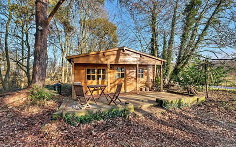 Woodland Lodge: Madera, Cabaña, Casa, Área Rural, Cuarto De Troncos, Arbusto, Casa, Puerta, Edificios Del Jardín